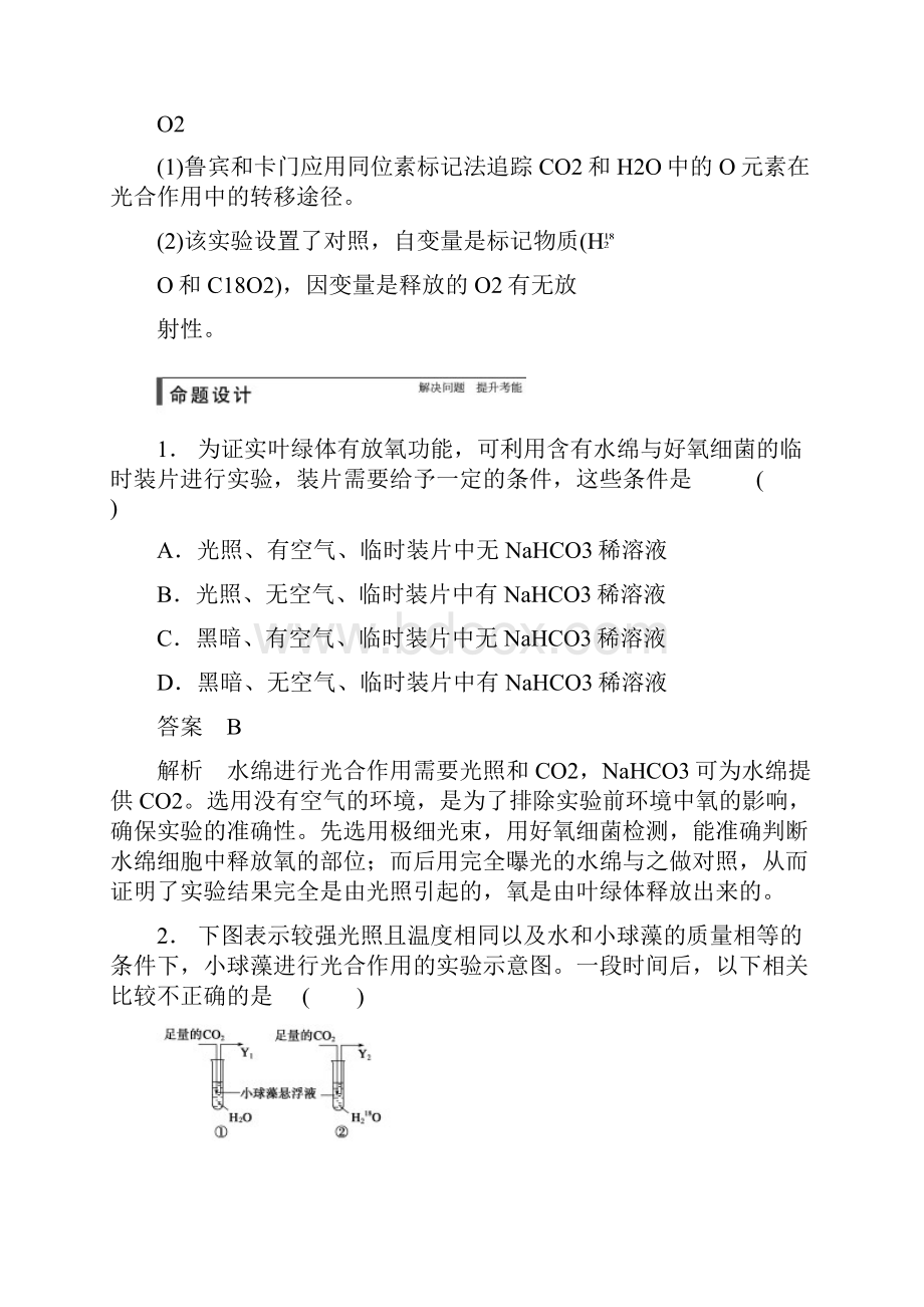 步步高高考生物一轮总复习精品讲义 第10讲 光与光合作用 新人教版.docx_第3页