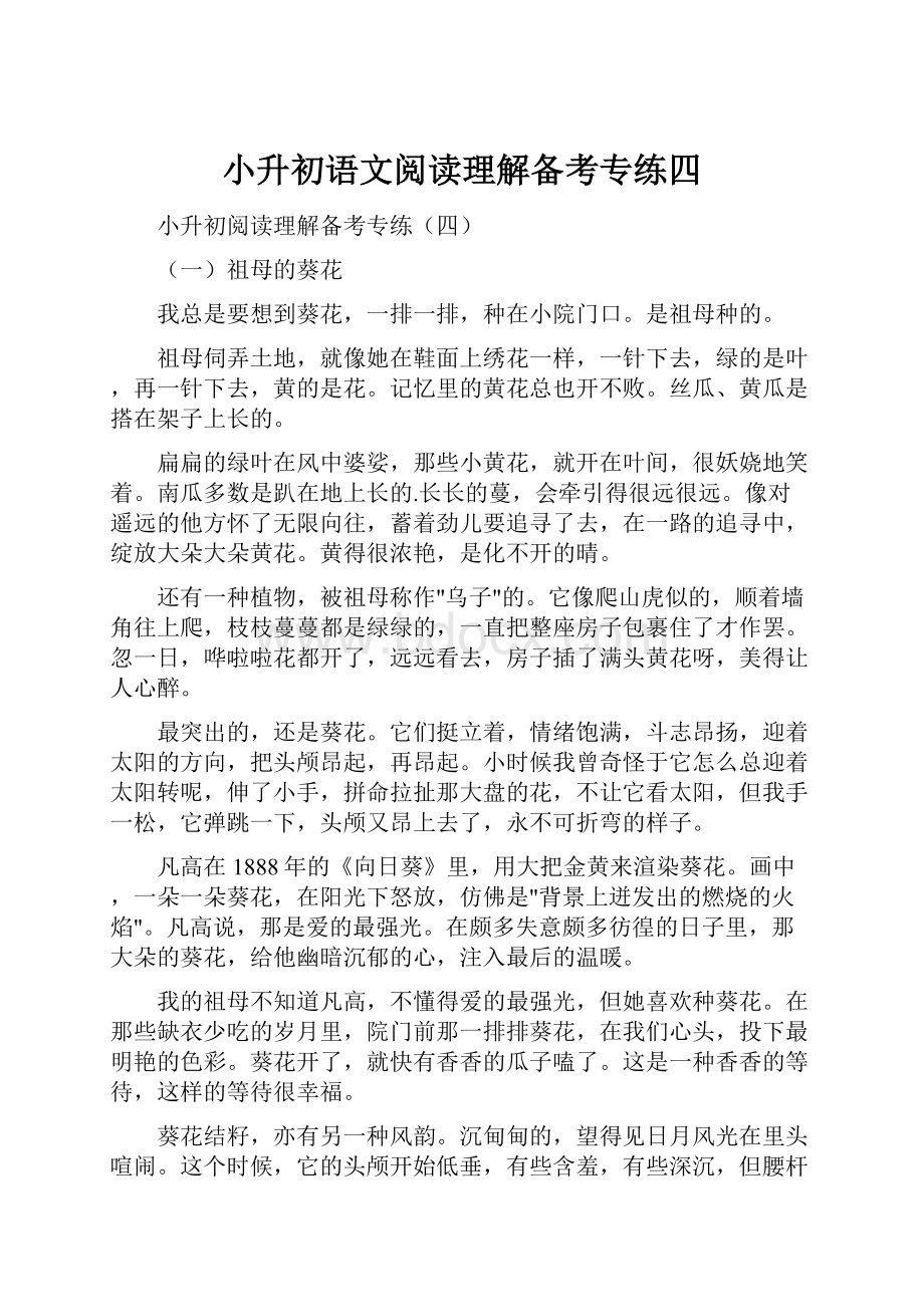 小升初语文阅读理解备考专练四.docx