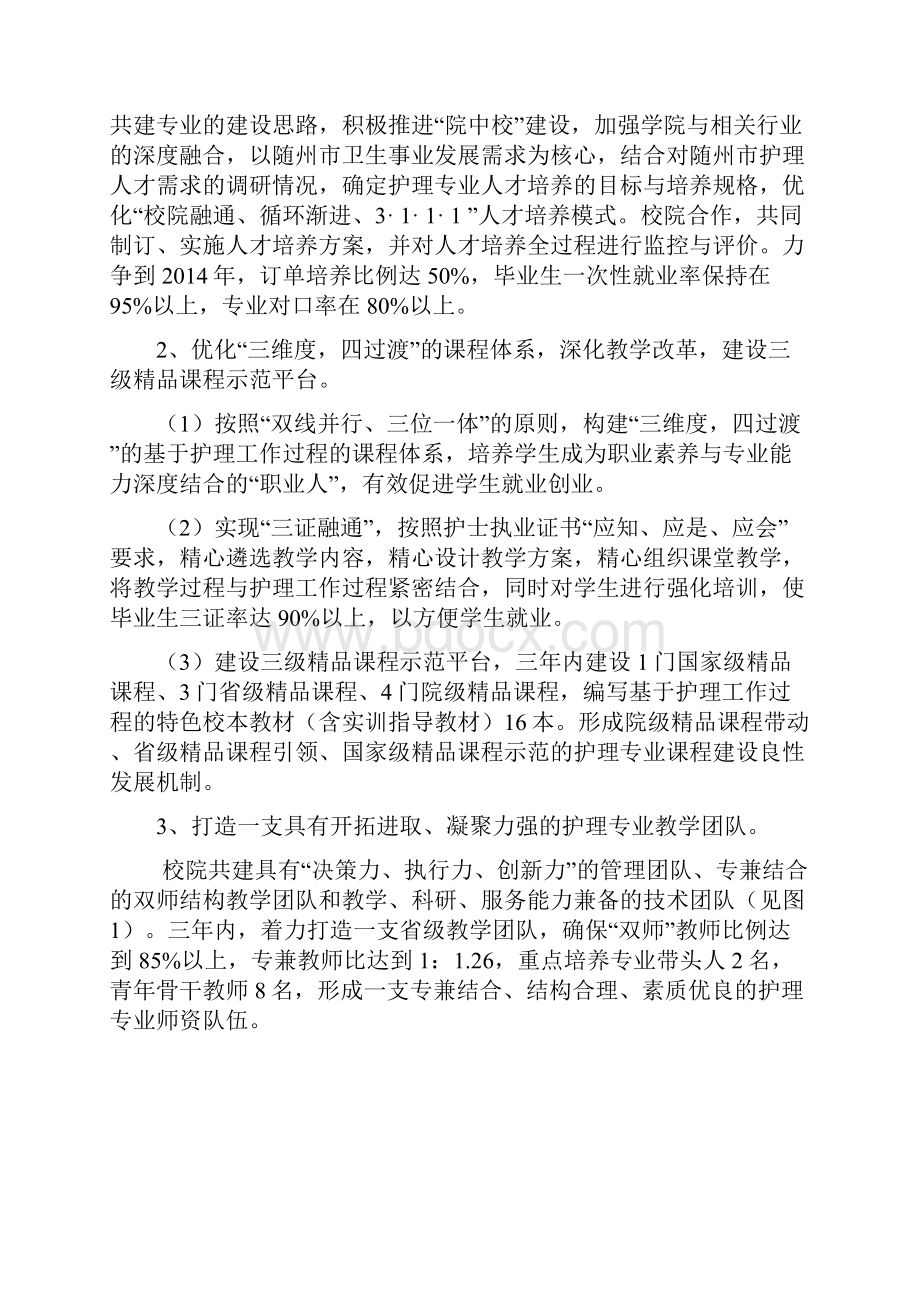 特色专业建设总结报告护理剖析.docx_第3页