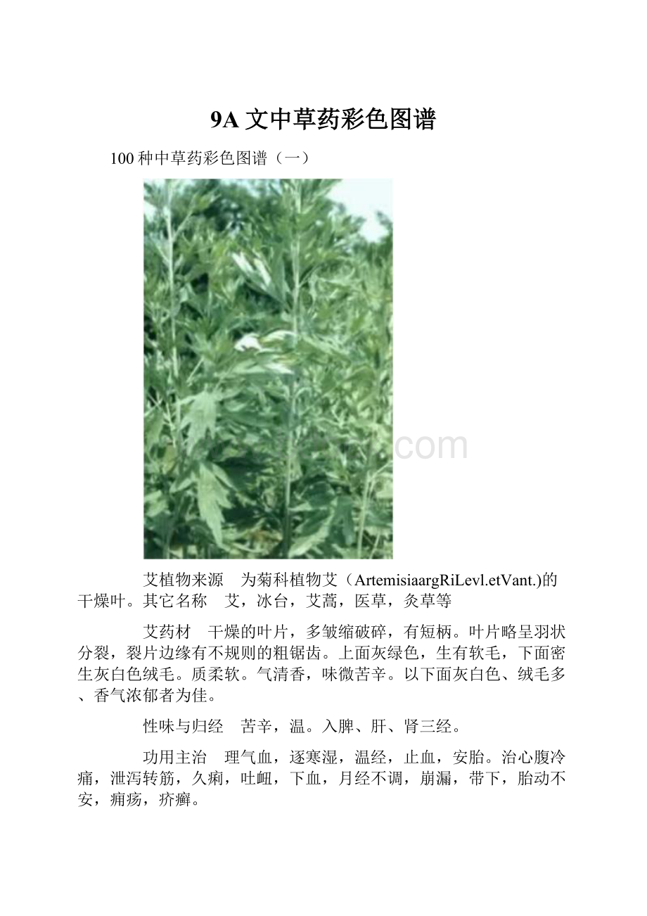 9A文中草药彩色图谱.docx