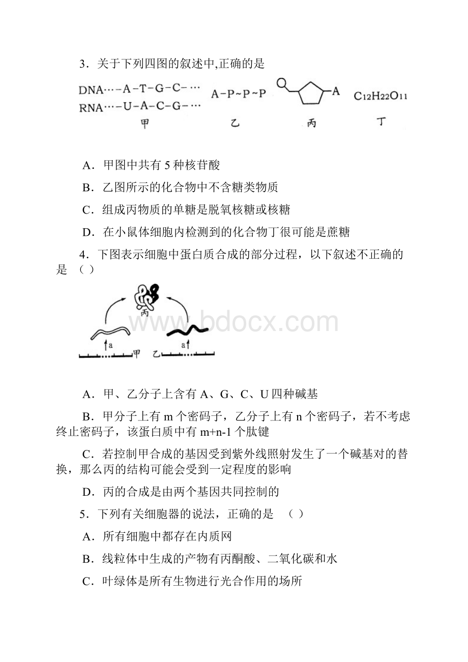 潍坊市高三第二次生物统考试题.docx_第2页