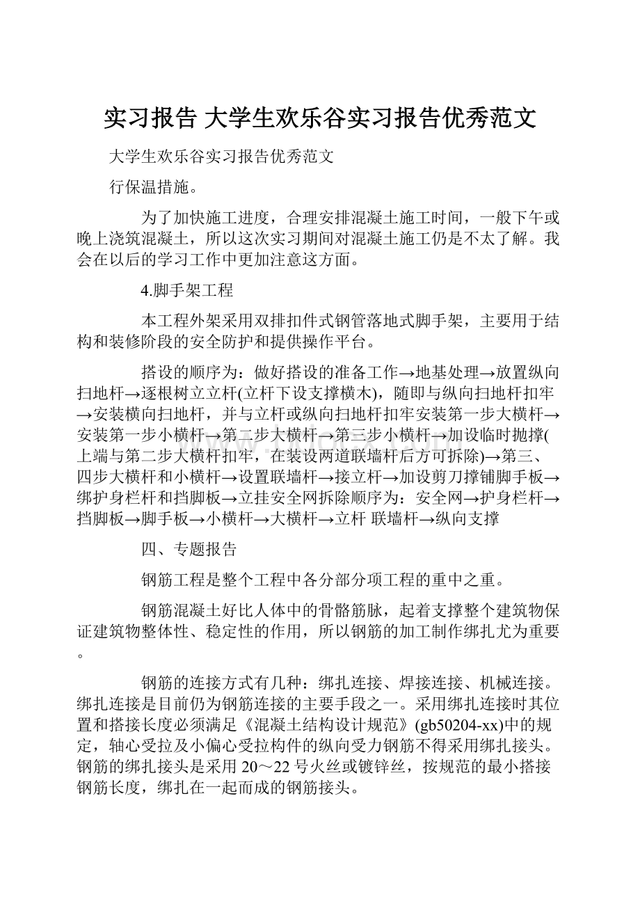 实习报告 大学生欢乐谷实习报告优秀范文.docx