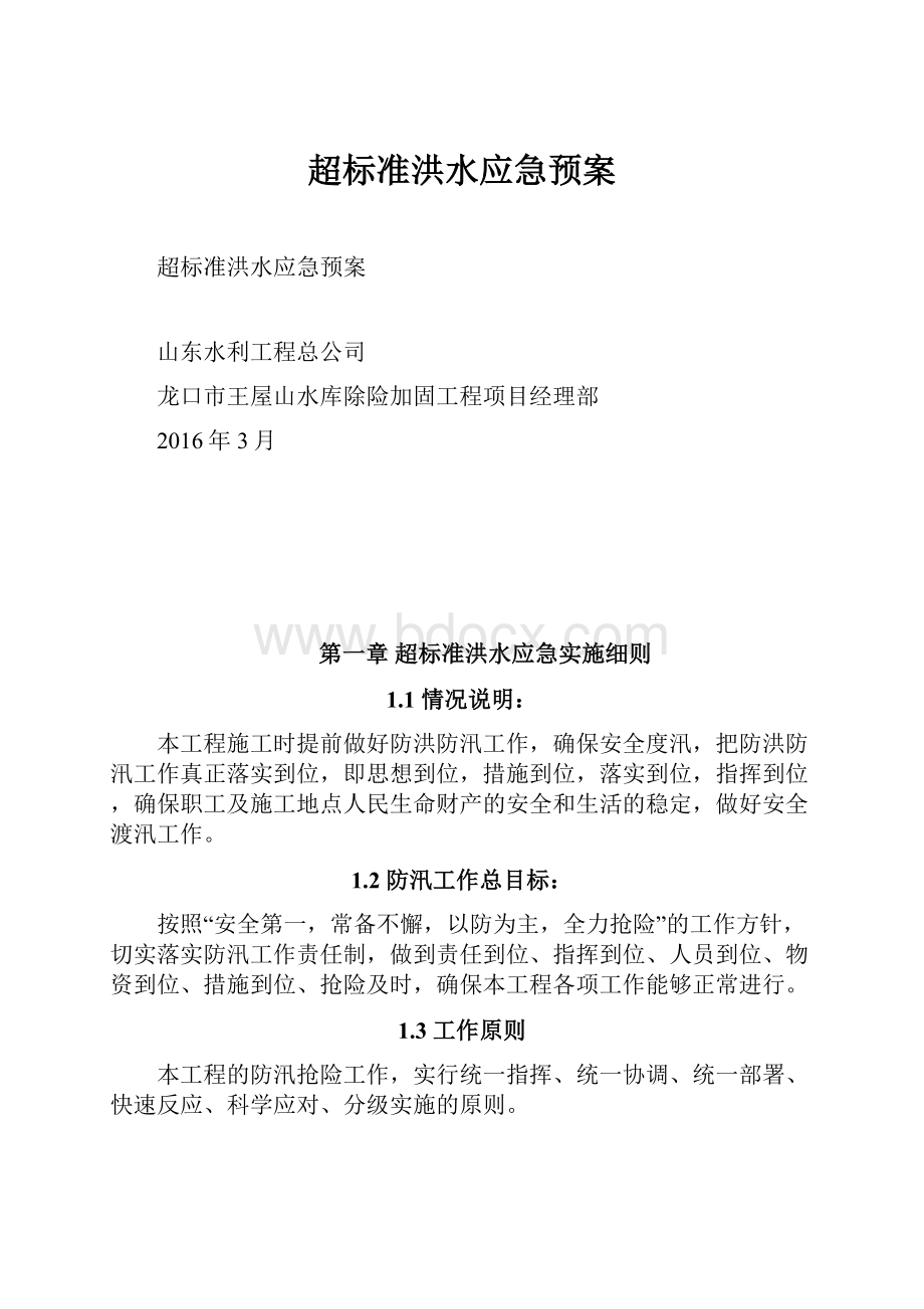 超标准洪水应急预案.docx