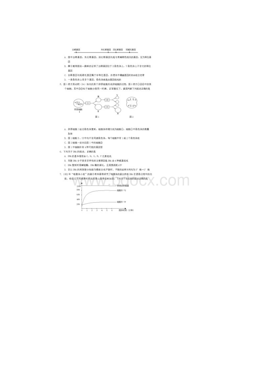 山东省烟台市学年高一生物下学期期末考试试题含答案.docx_第2页