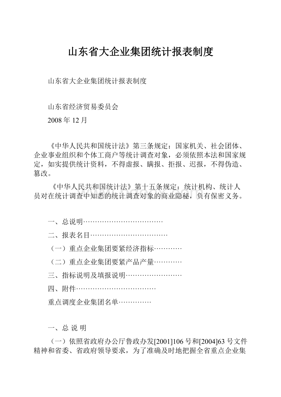 山东省大企业集团统计报表制度.docx