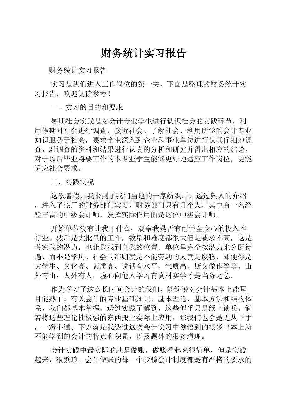 财务统计实习报告.docx