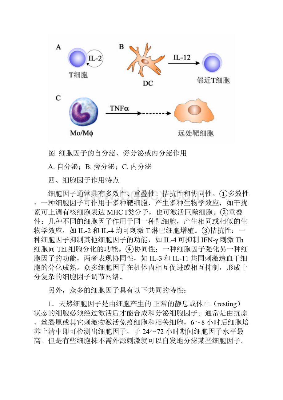 整理第六章细胞因子.docx_第2页