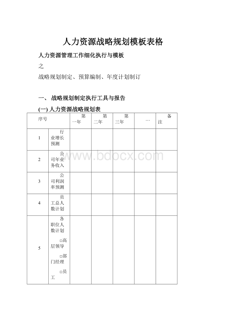 人力资源战略规划模板表格.docx