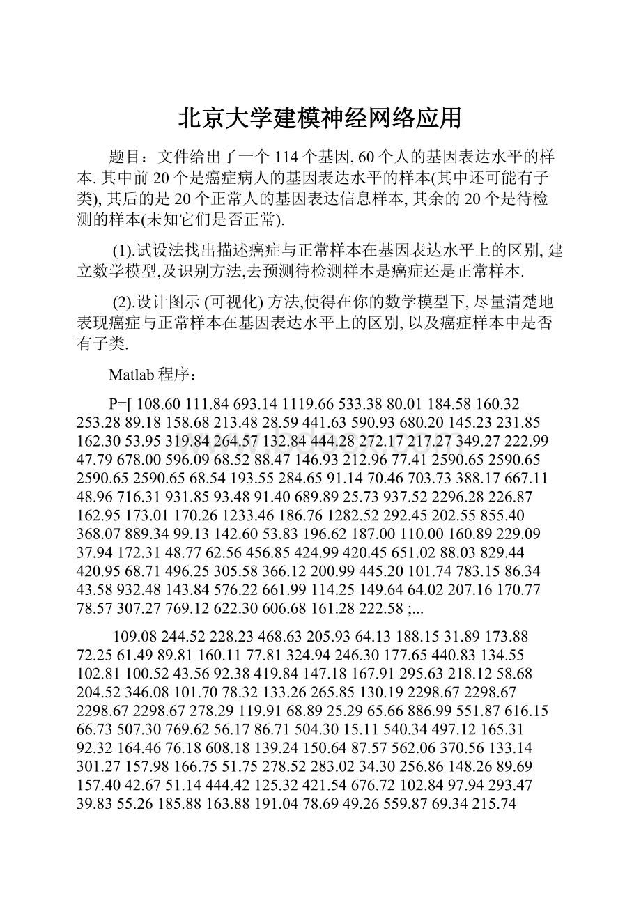 北京大学建模神经网络应用.docx