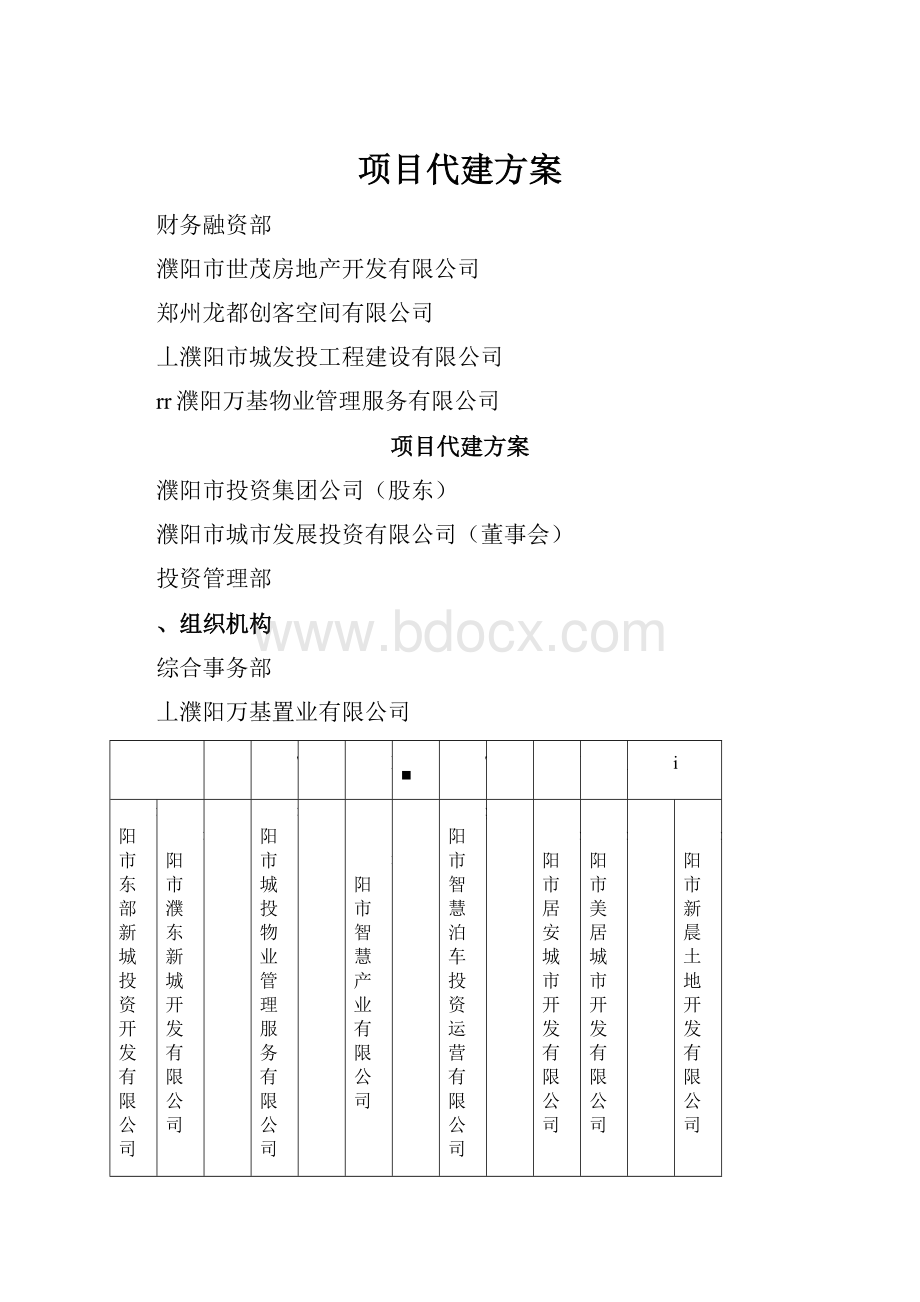 项目代建方案.docx