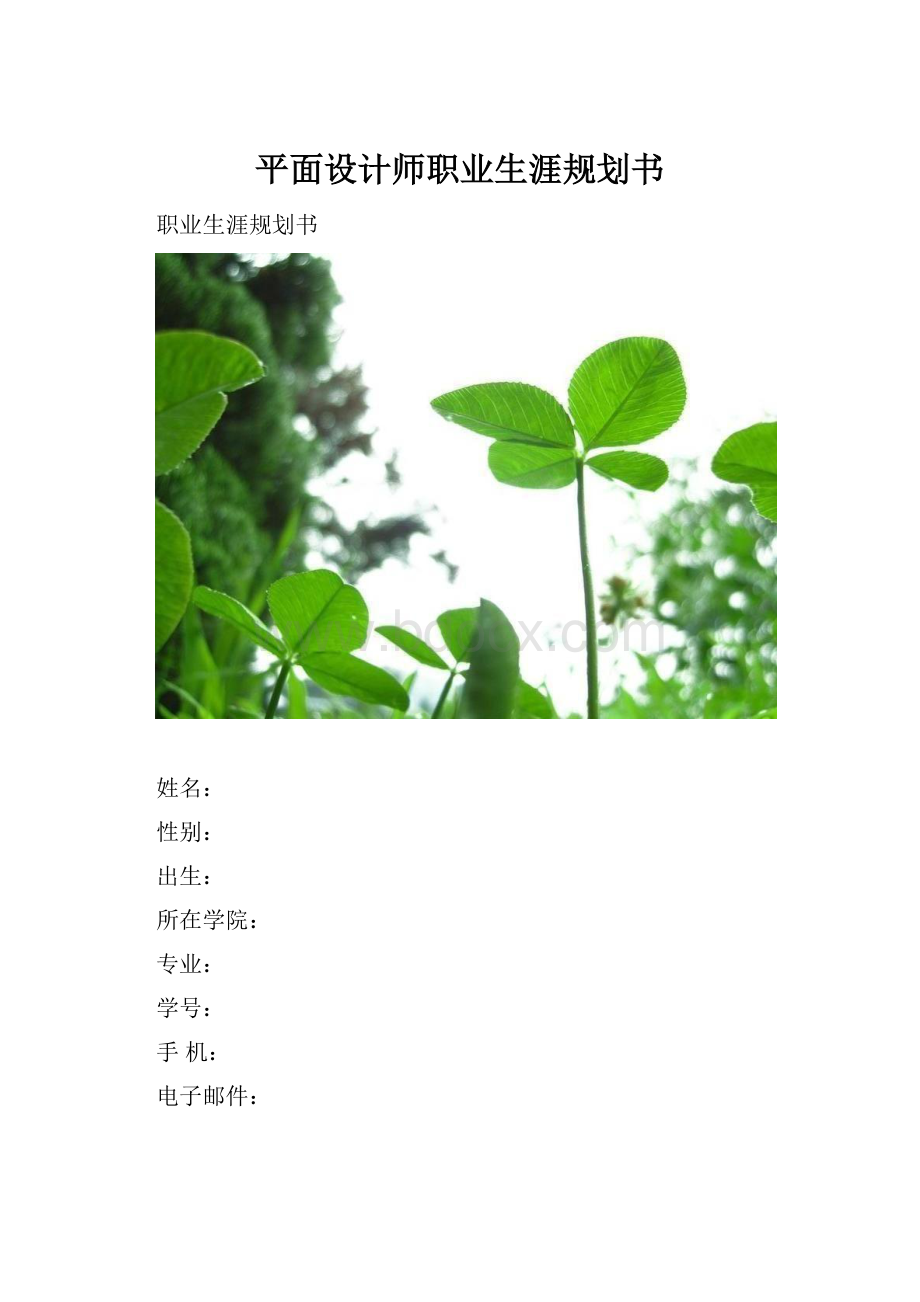 平面设计师职业生涯规划书.docx