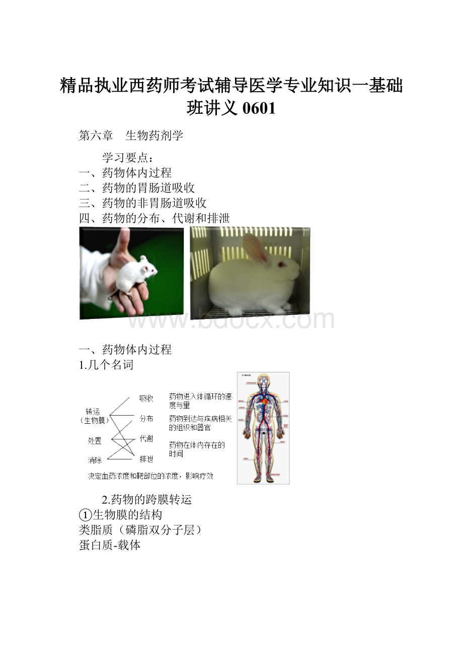 精品执业西药师考试辅导医学专业知识一基础班讲义0601.docx