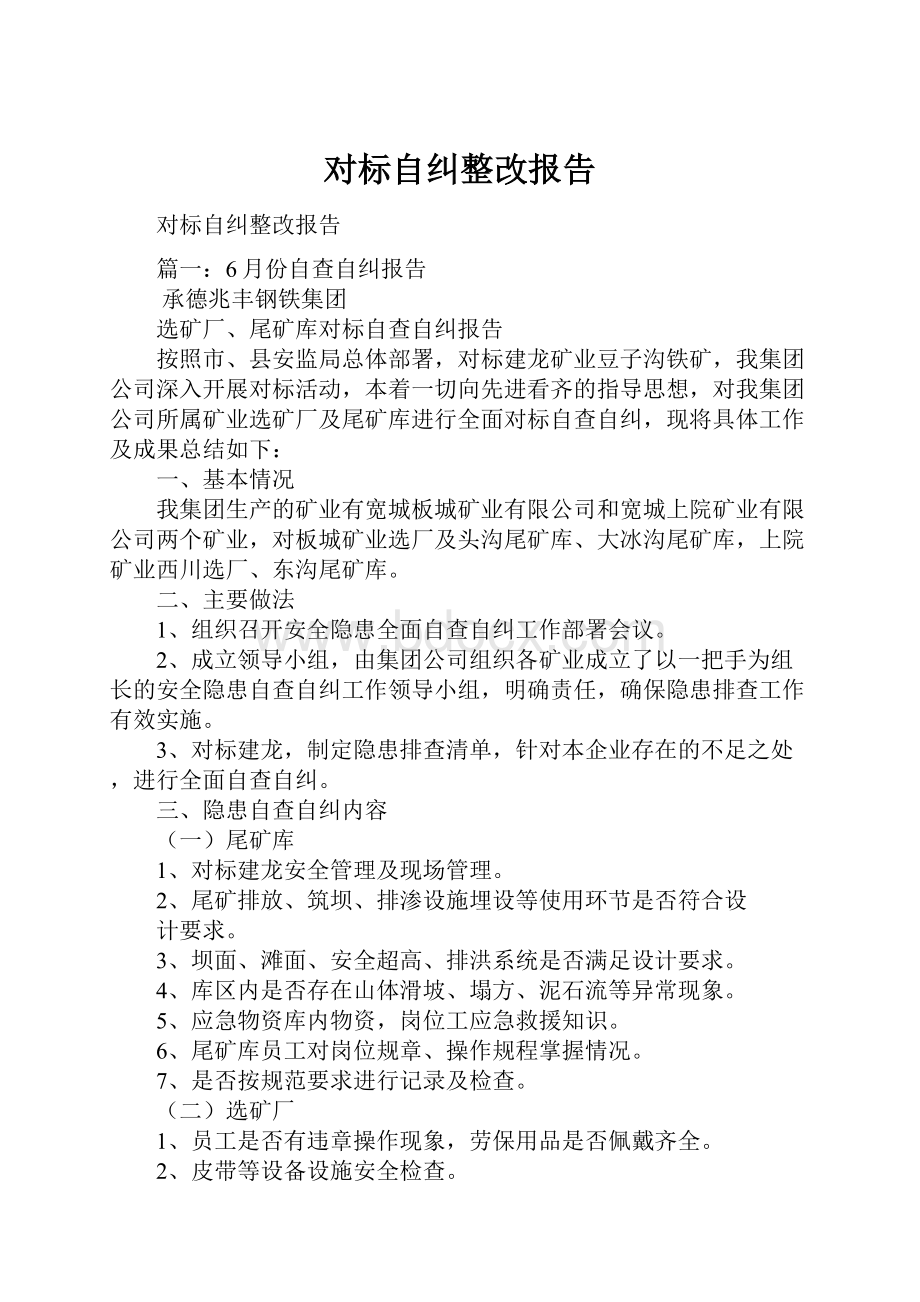 对标自纠整改报告.docx