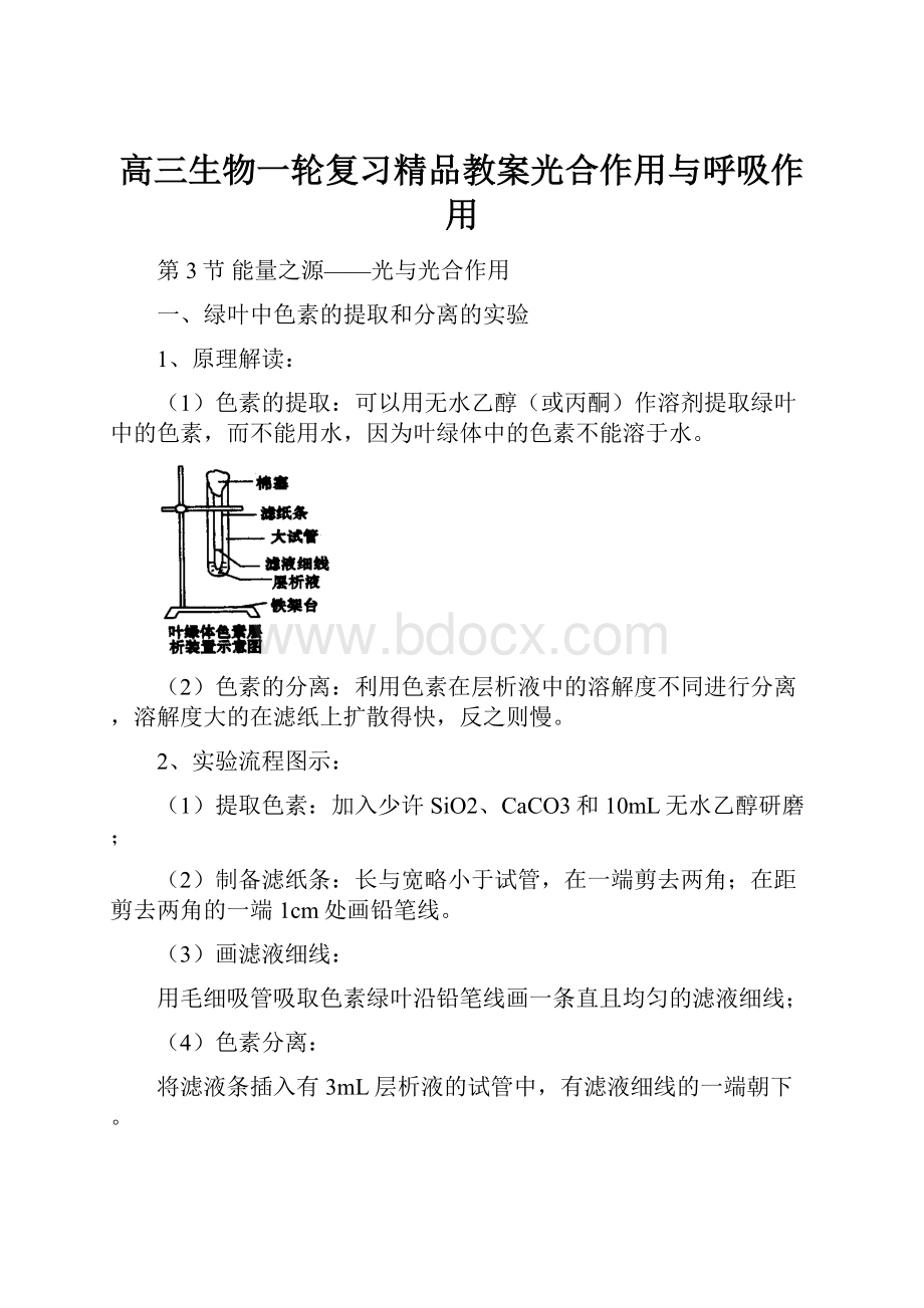 高三生物一轮复习精品教案光合作用与呼吸作用.docx