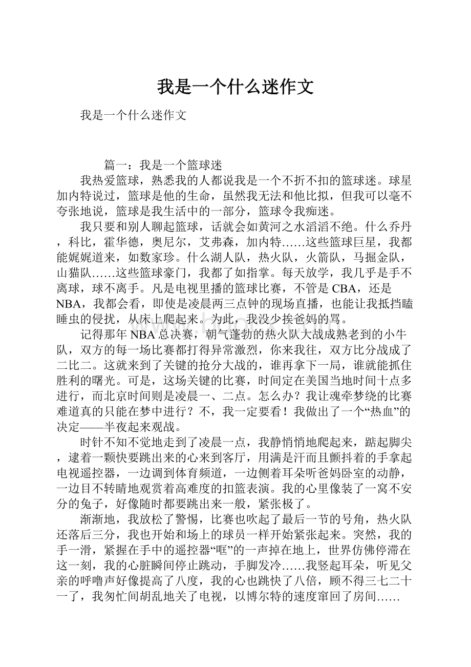 我是一个什么迷作文.docx_第1页