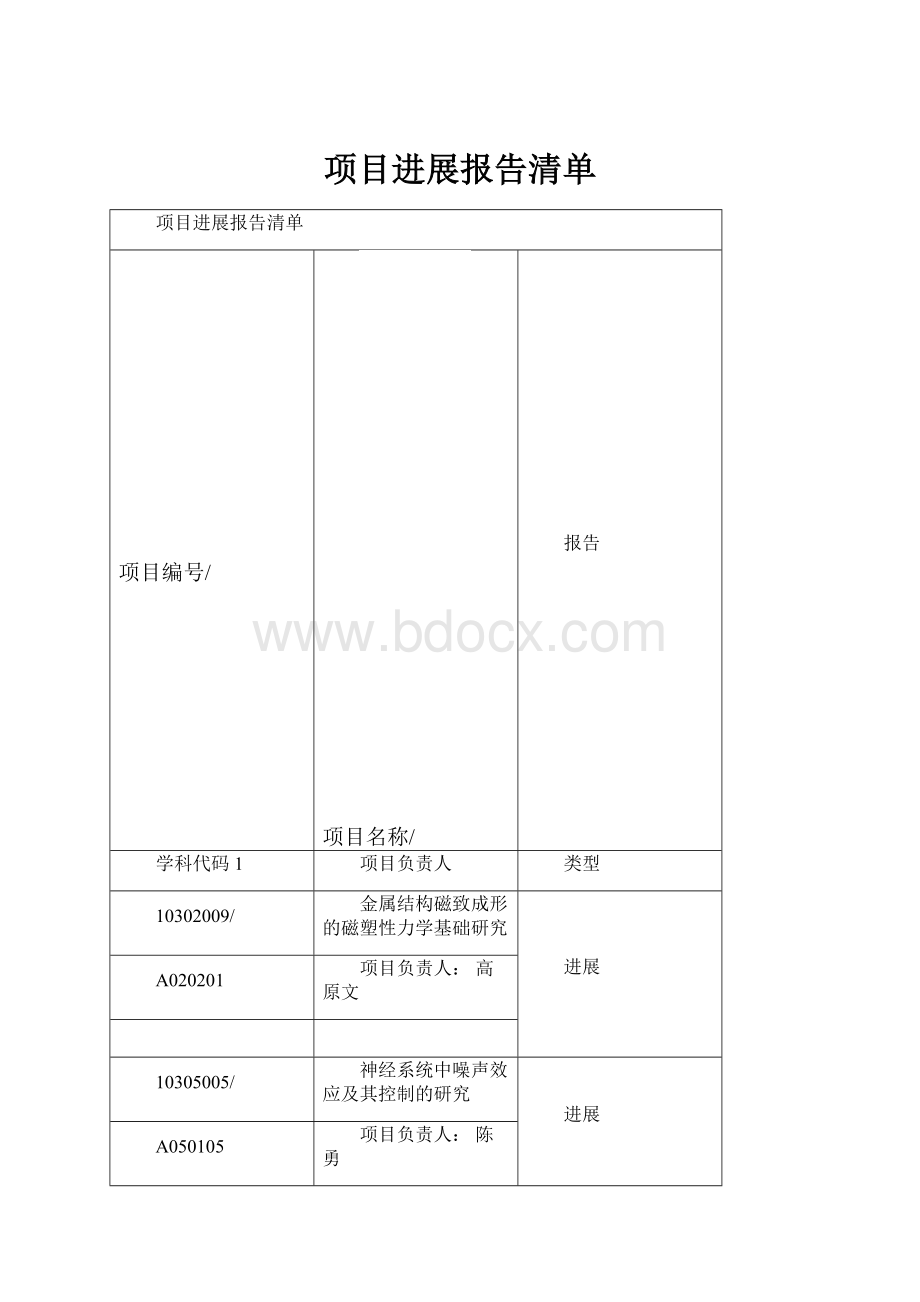 项目进展报告清单.docx