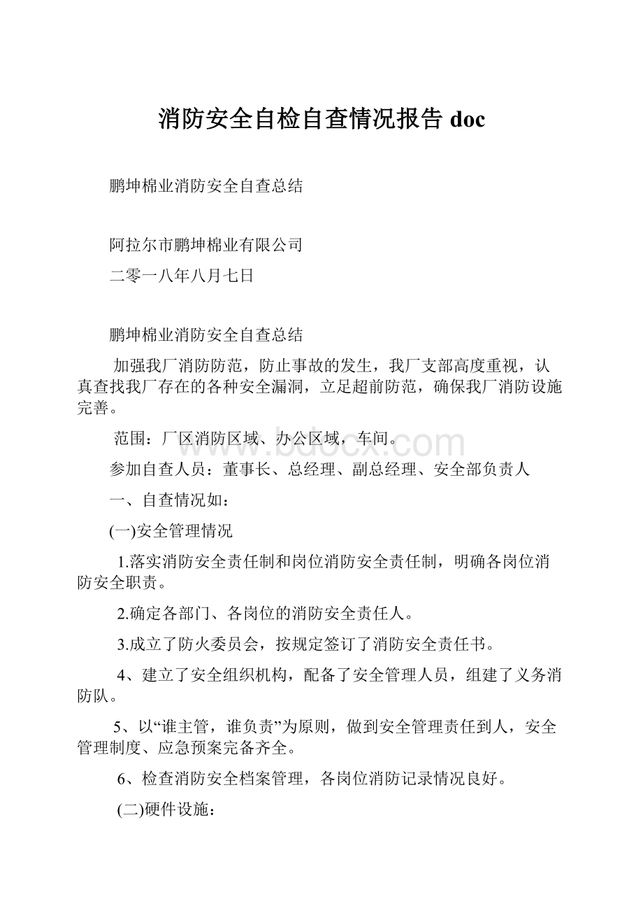 消防安全自检自查情况报告doc.docx