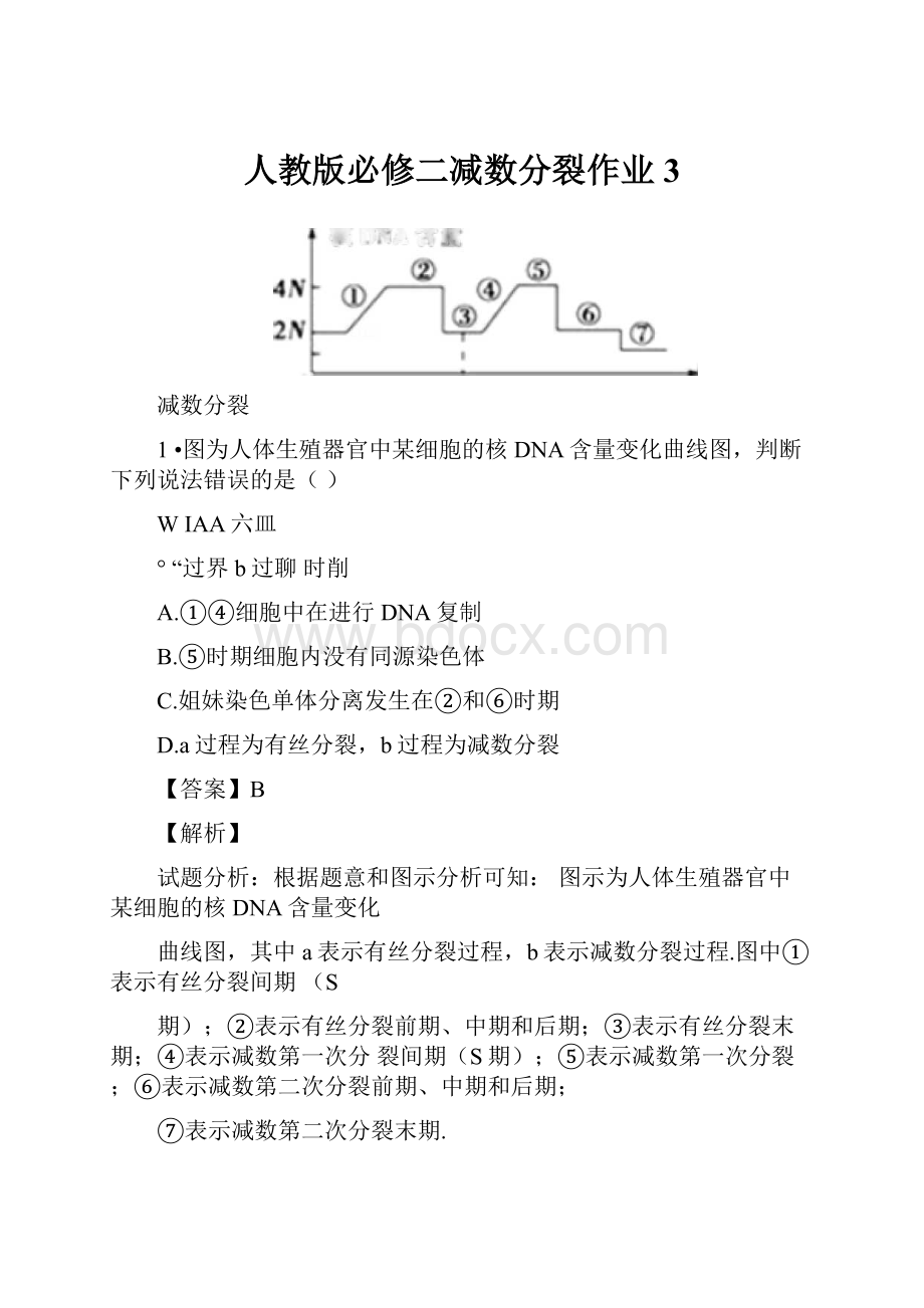 人教版必修二减数分裂作业3.docx