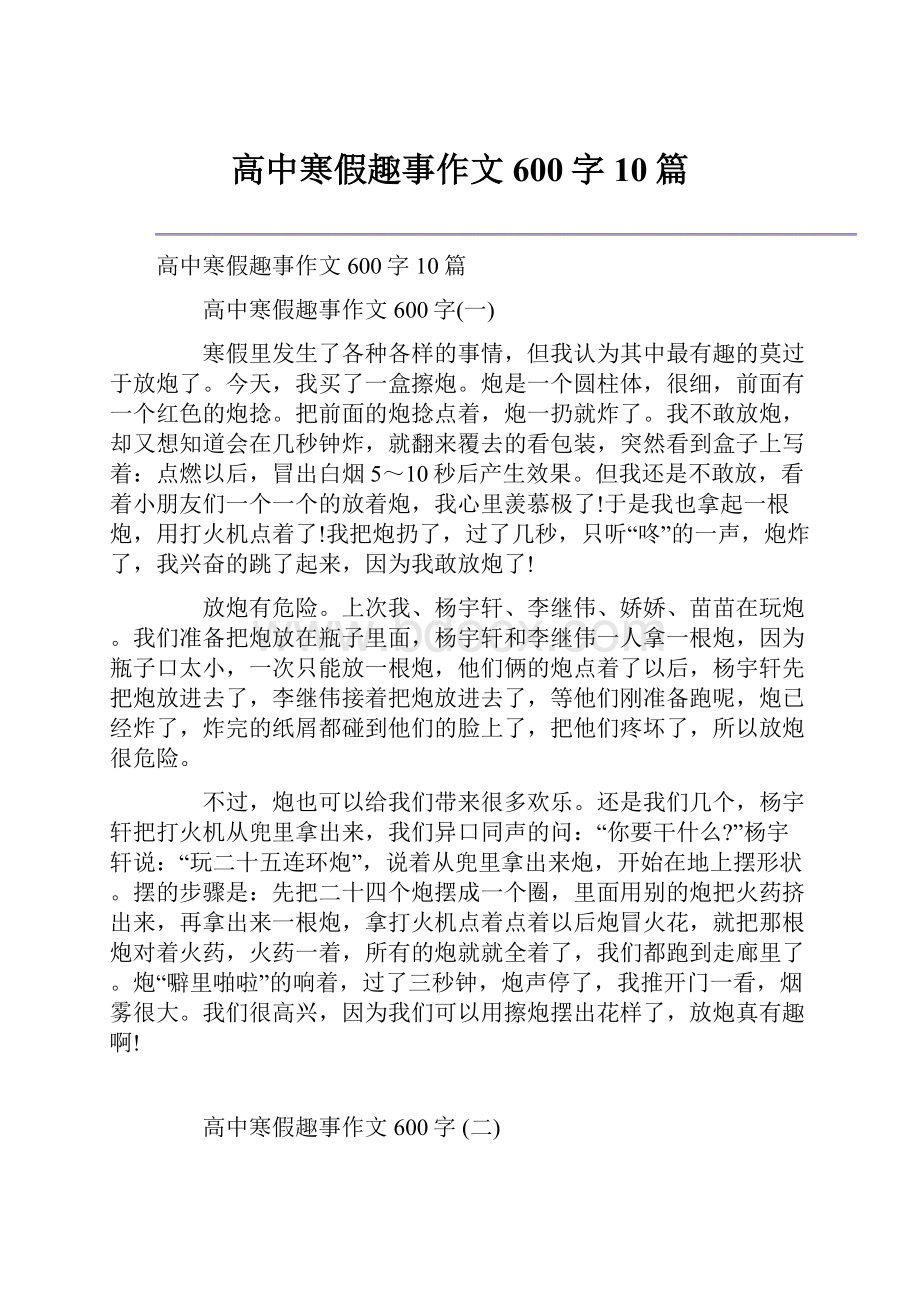 高中寒假趣事作文600字10篇.docx_第1页