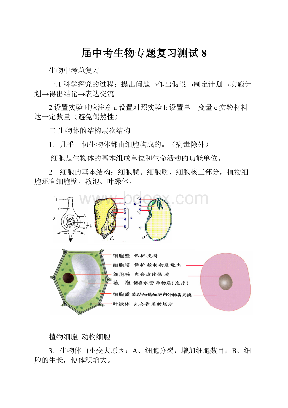 届中考生物专题复习测试8.docx