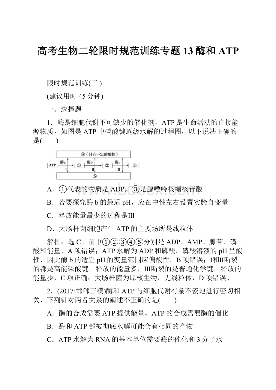 高考生物二轮限时规范训练专题13酶和ATP.docx