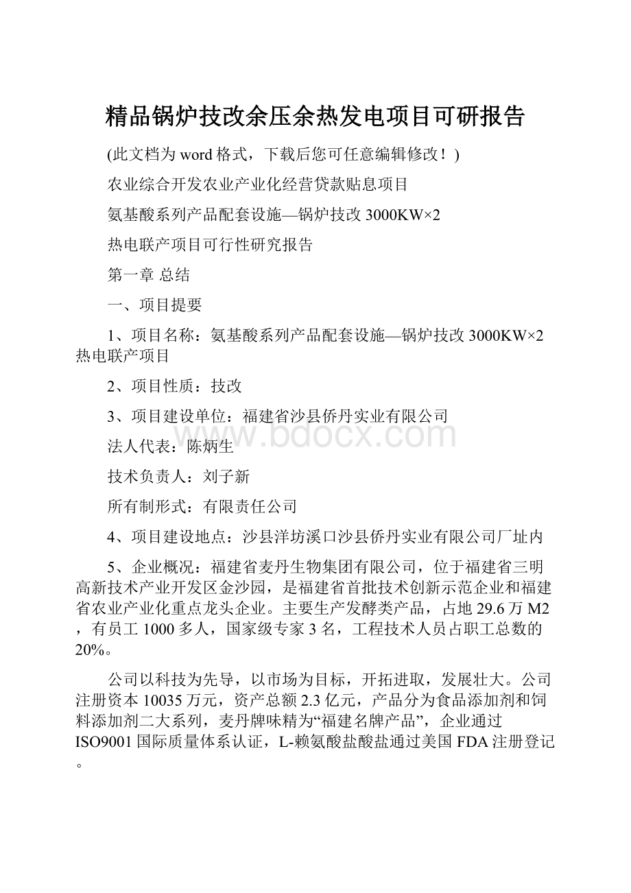 精品锅炉技改余压余热发电项目可研报告.docx_第1页