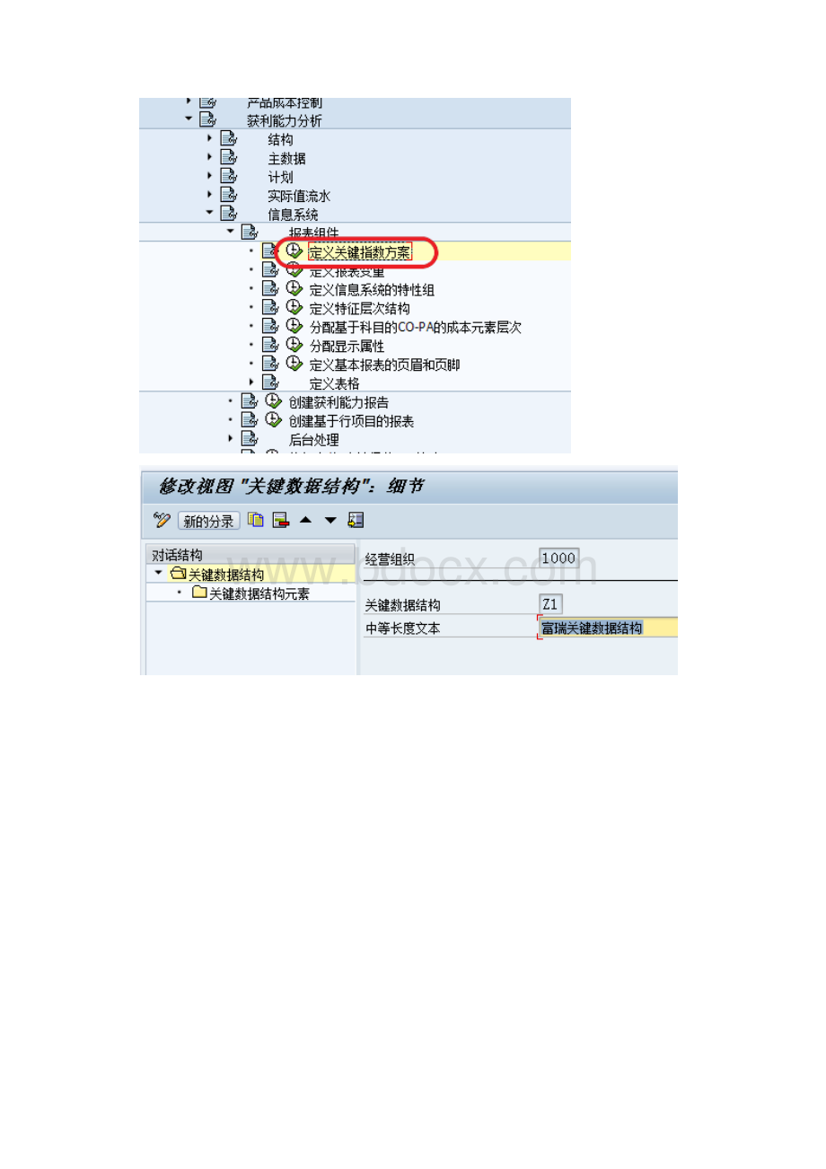 SAPKE30报表编制.docx_第2页