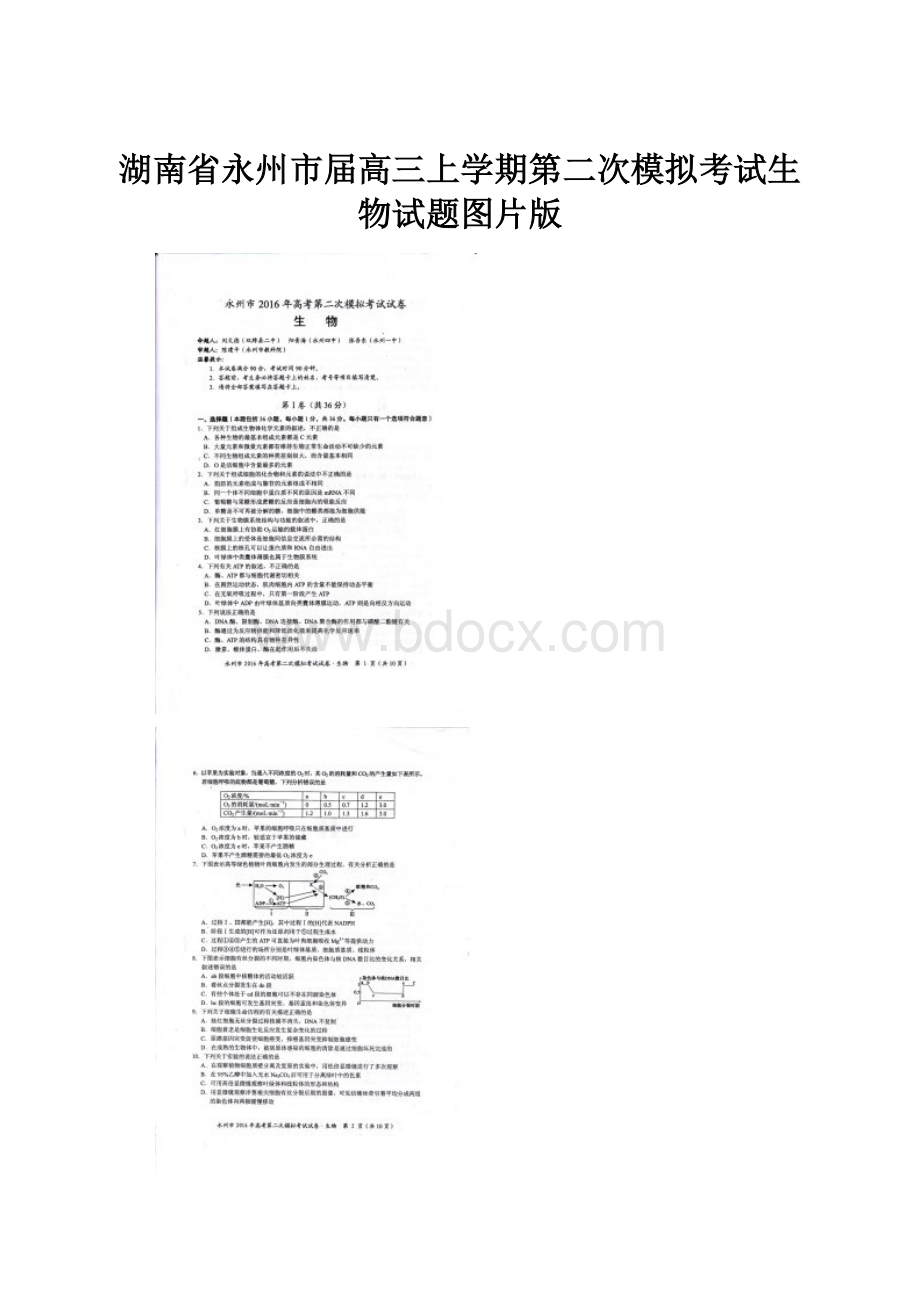 湖南省永州市届高三上学期第二次模拟考试生物试题图片版.docx