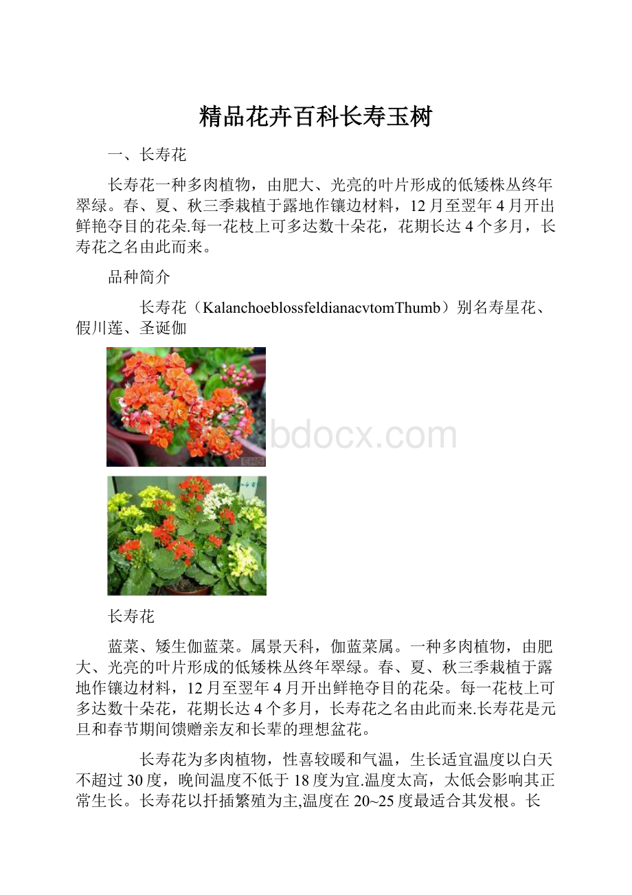 精品花卉百科长寿玉树.docx