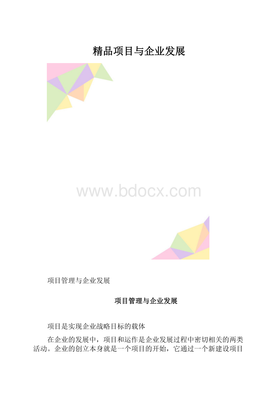 精品项目与企业发展.docx