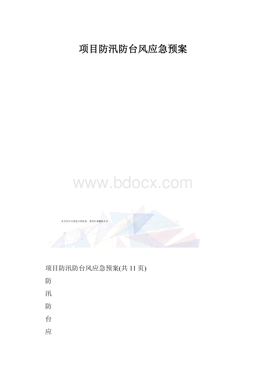 项目防汛防台风应急预案.docx