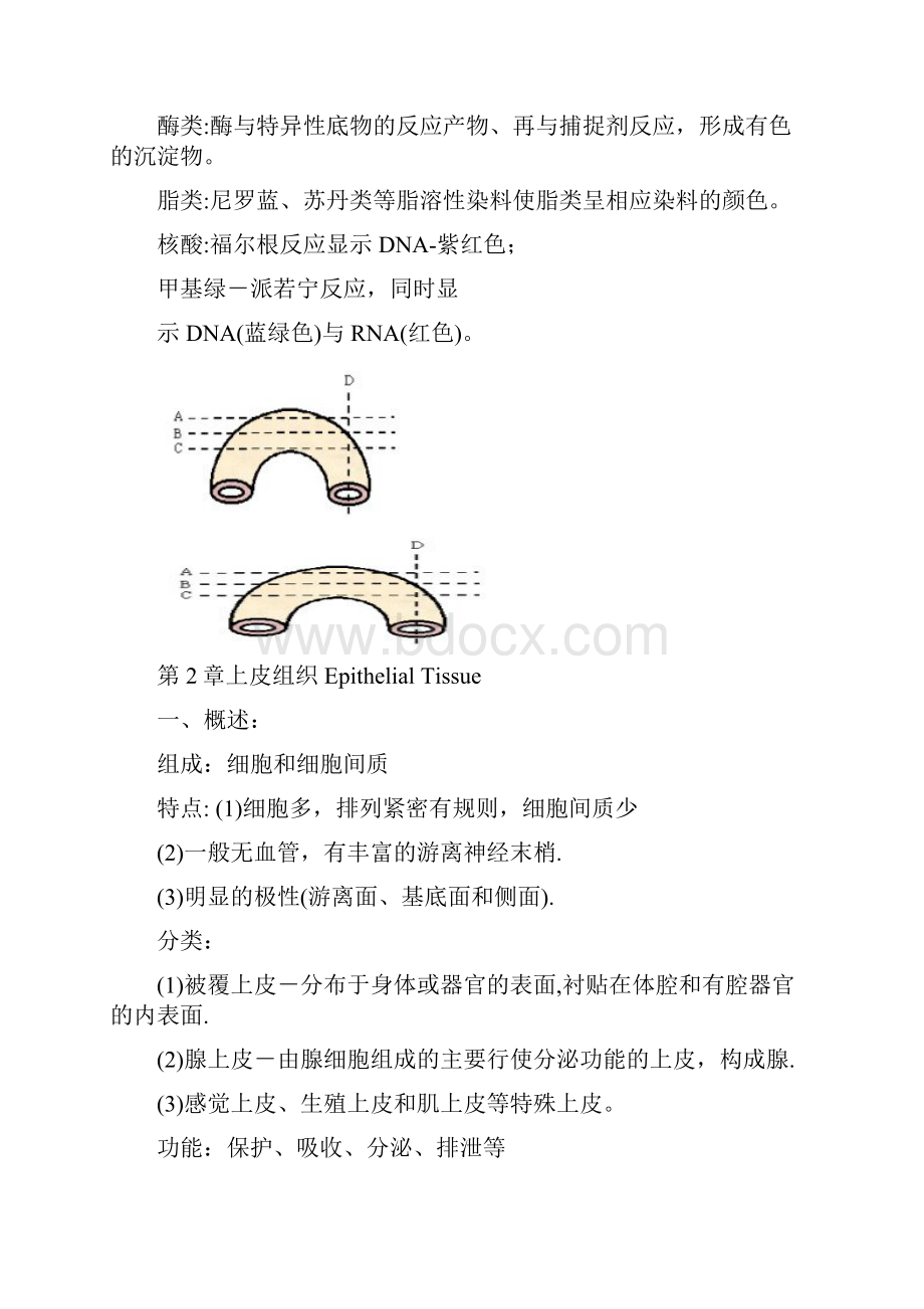 完整word版组培啊知识点良心出品必属精品.docx_第3页