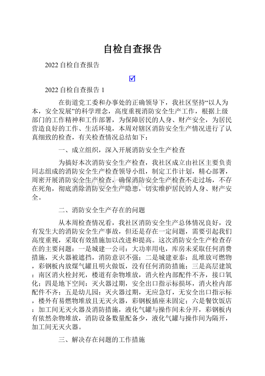 自检自查报告.docx_第1页