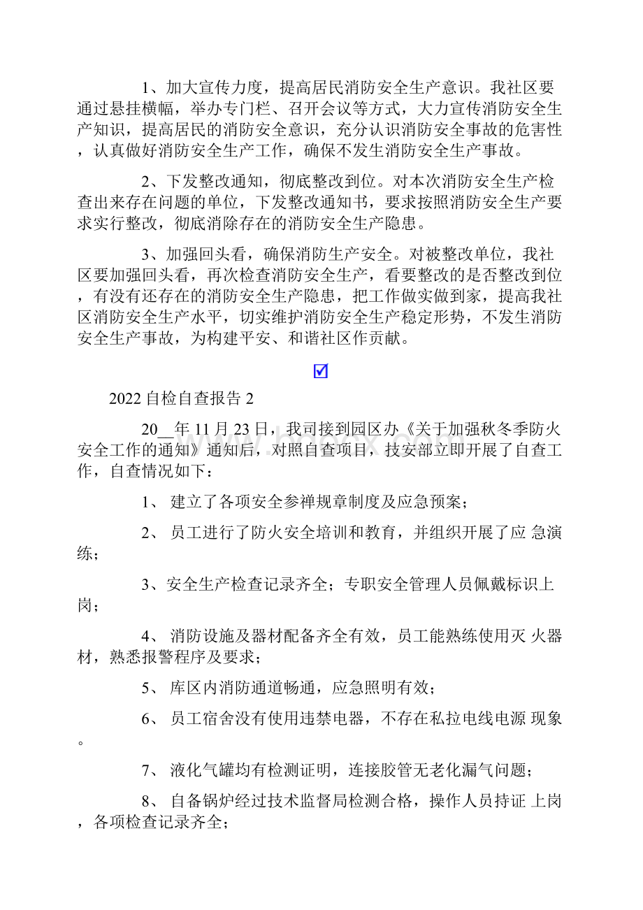 自检自查报告.docx_第2页