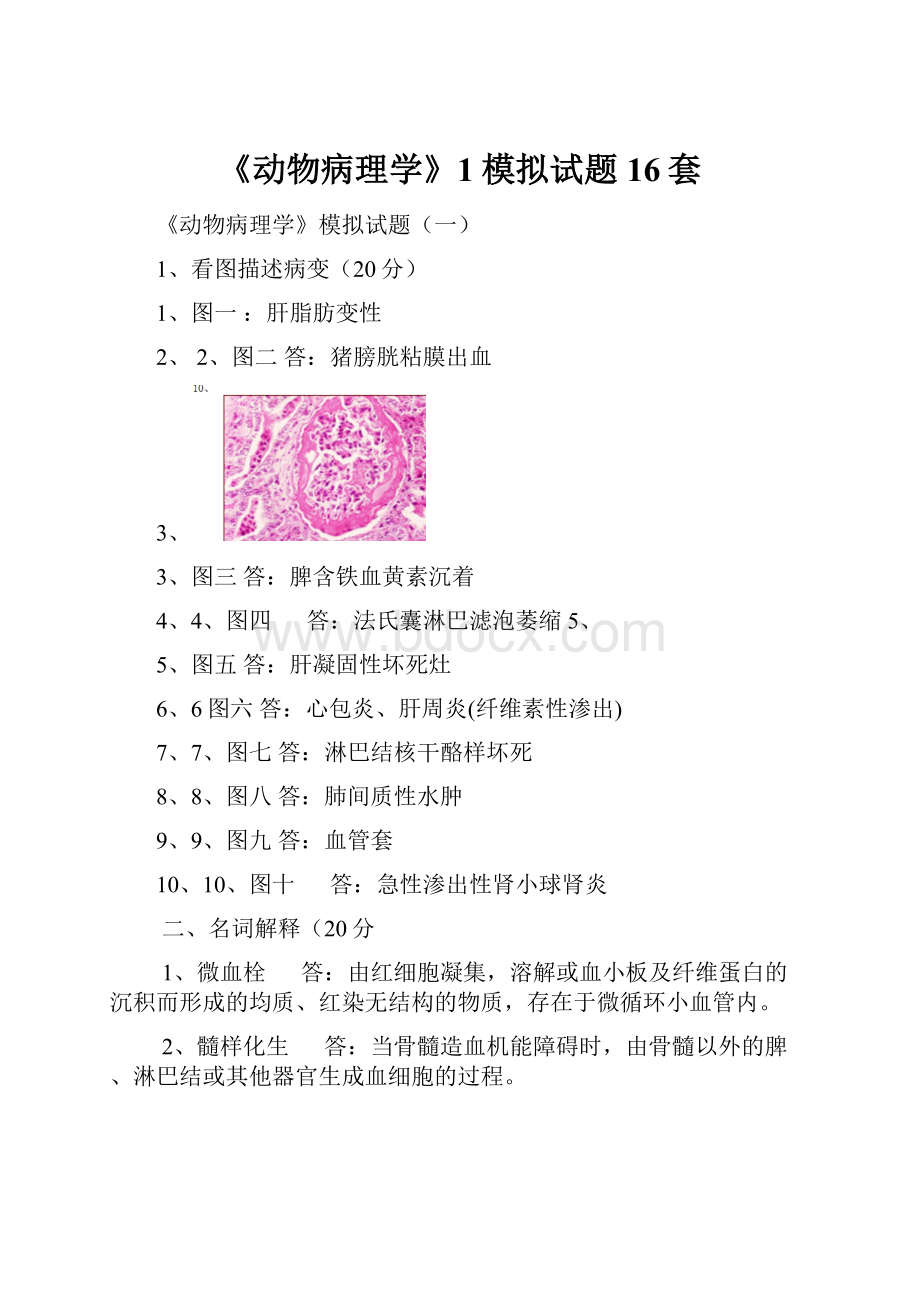 《动物病理学》1模拟试题16套.docx