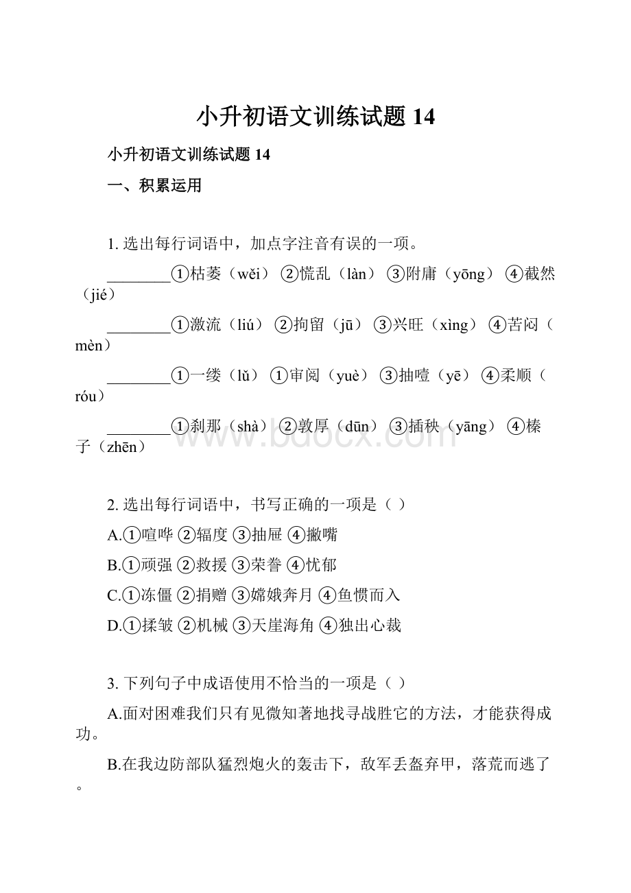 小升初语文训练试题14.docx