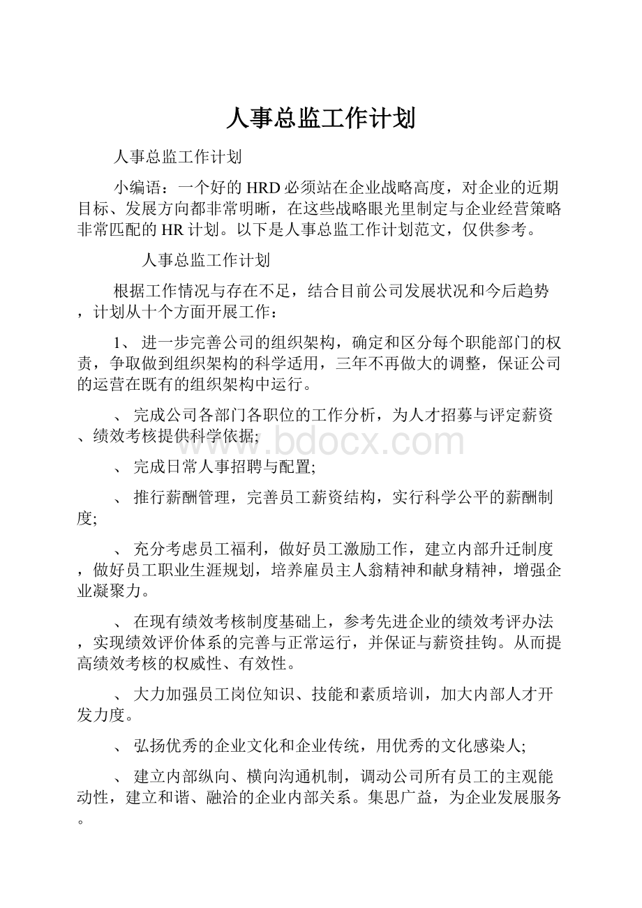 人事总监工作计划.docx