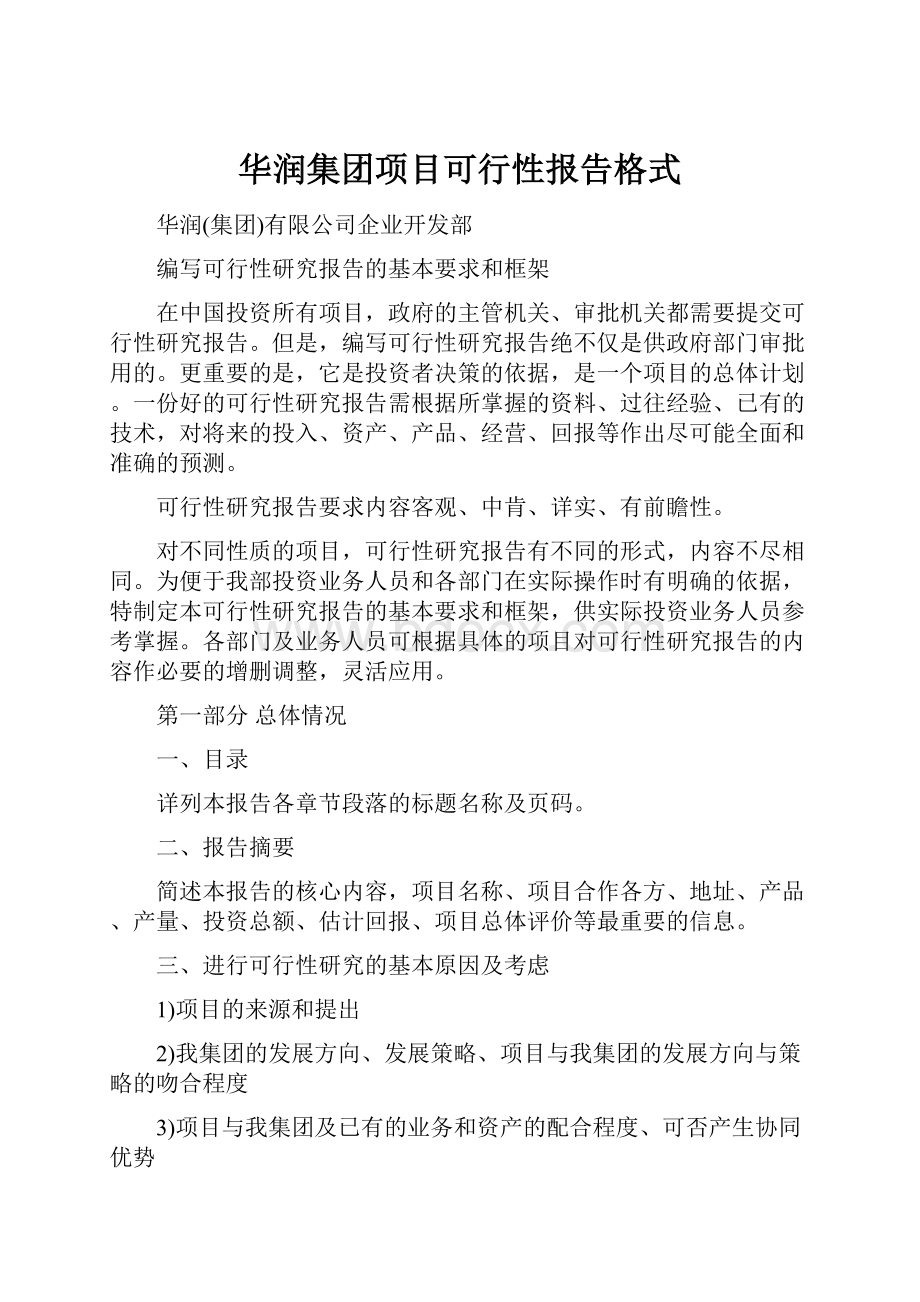 华润集团项目可行性报告格式.docx