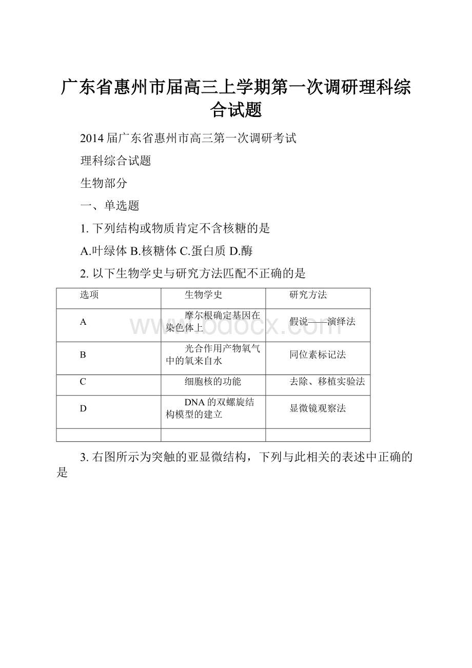 广东省惠州市届高三上学期第一次调研理科综合试题.docx