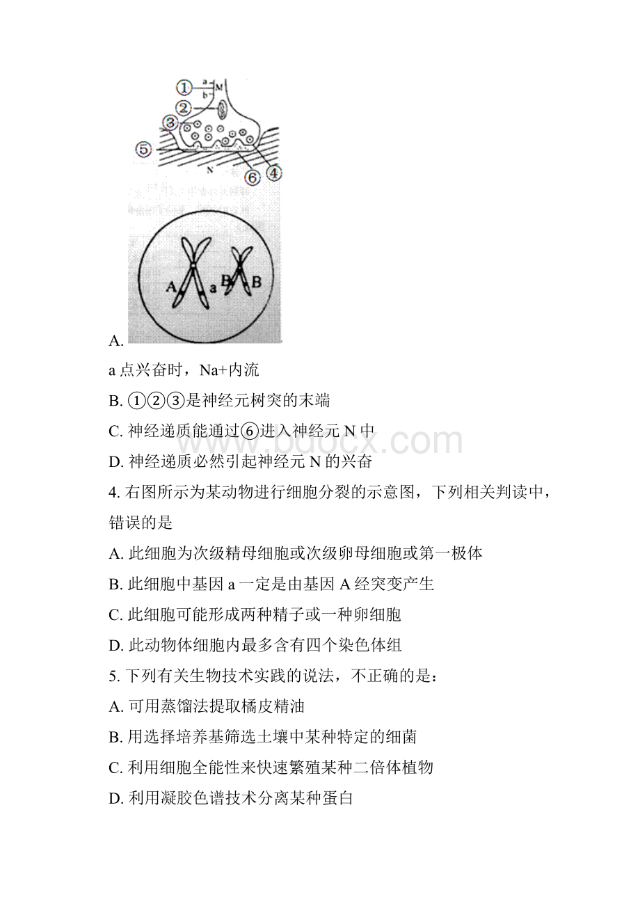 广东省惠州市届高三上学期第一次调研理科综合试题.docx_第2页