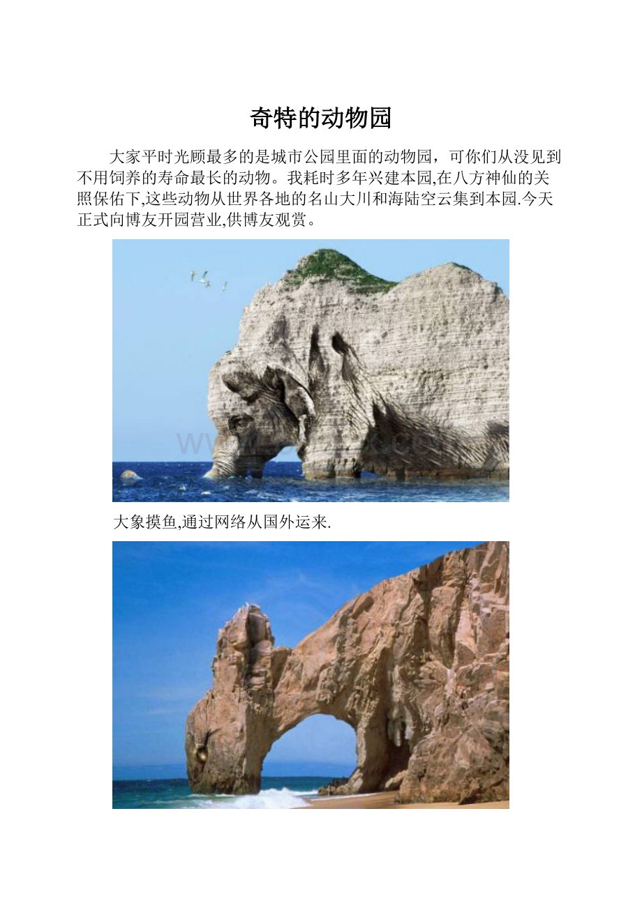 奇特的动物园.docx