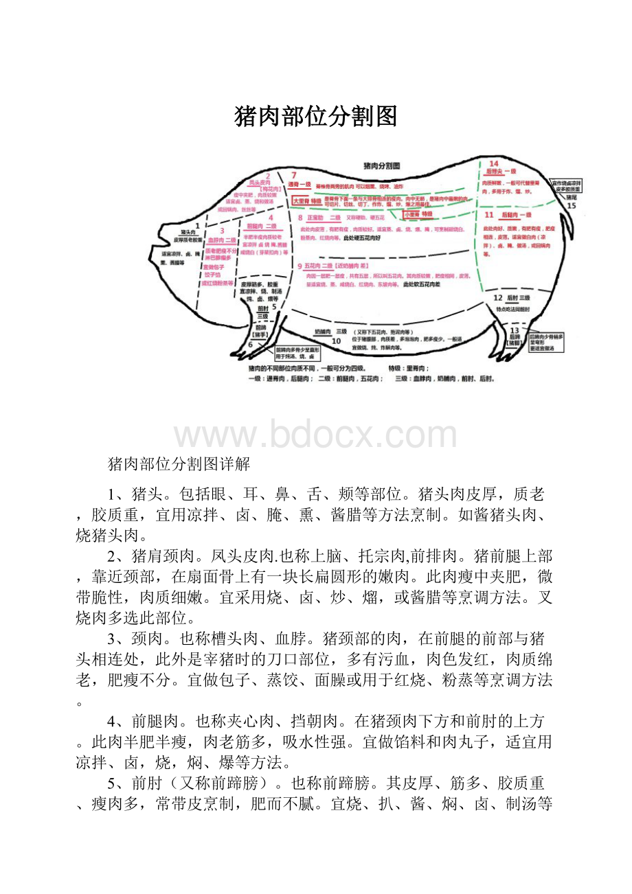 猪肉部位分割图.docx