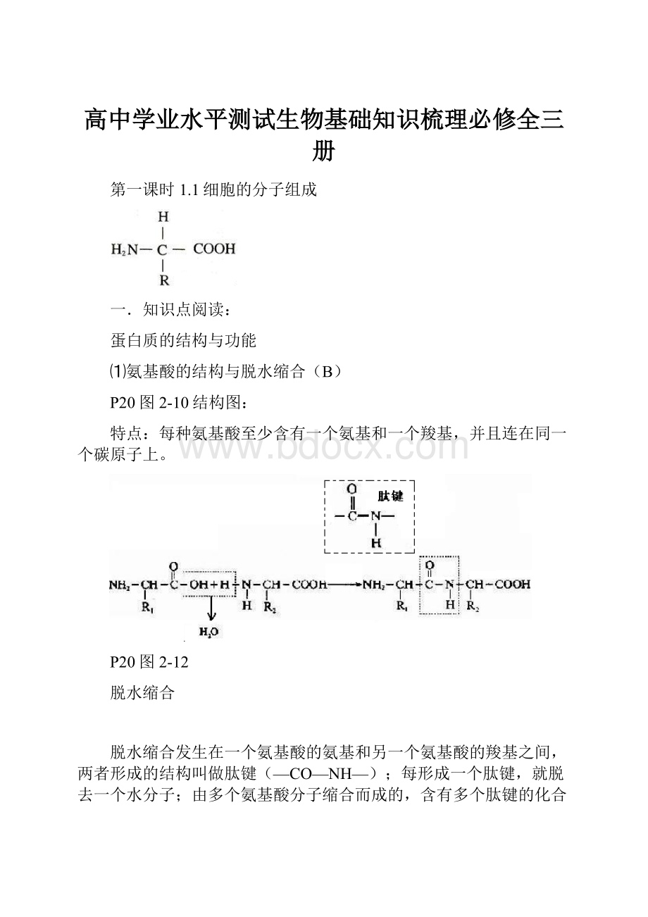 高中学业水平测试生物基础知识梳理必修全三册.docx