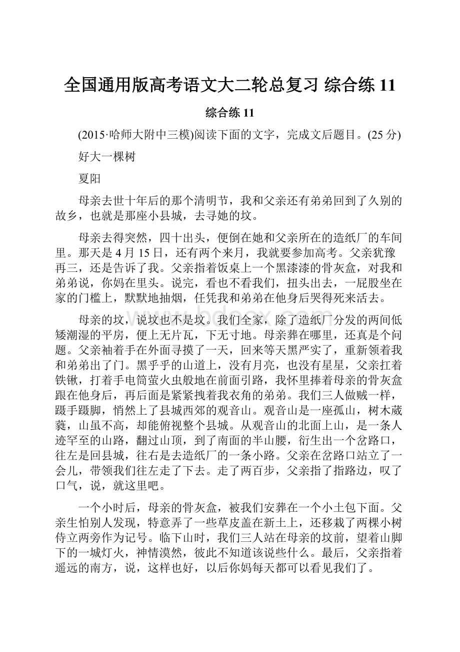 全国通用版高考语文大二轮总复习 综合练11.docx