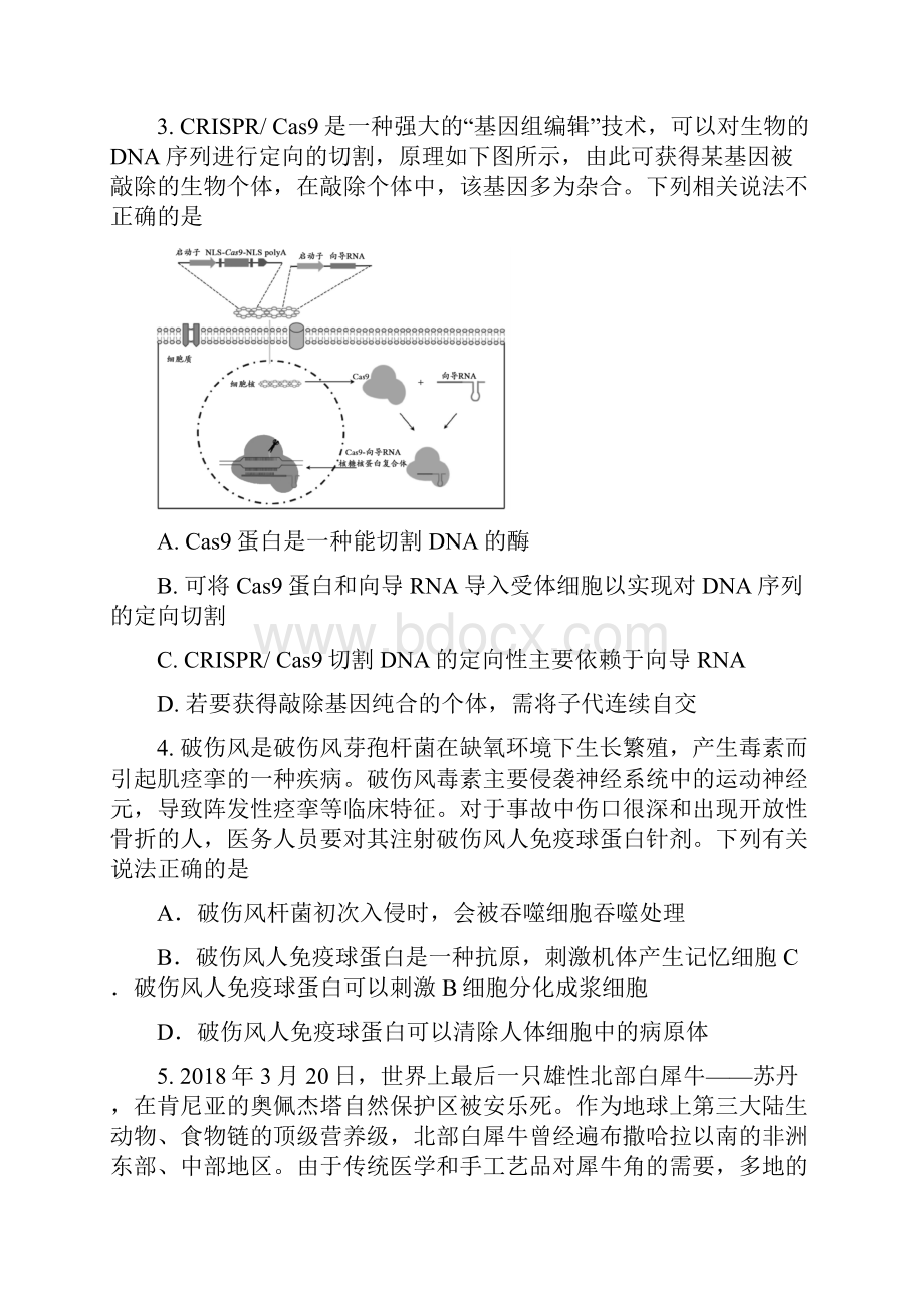 北京大兴一模理综试题与答案.docx_第2页