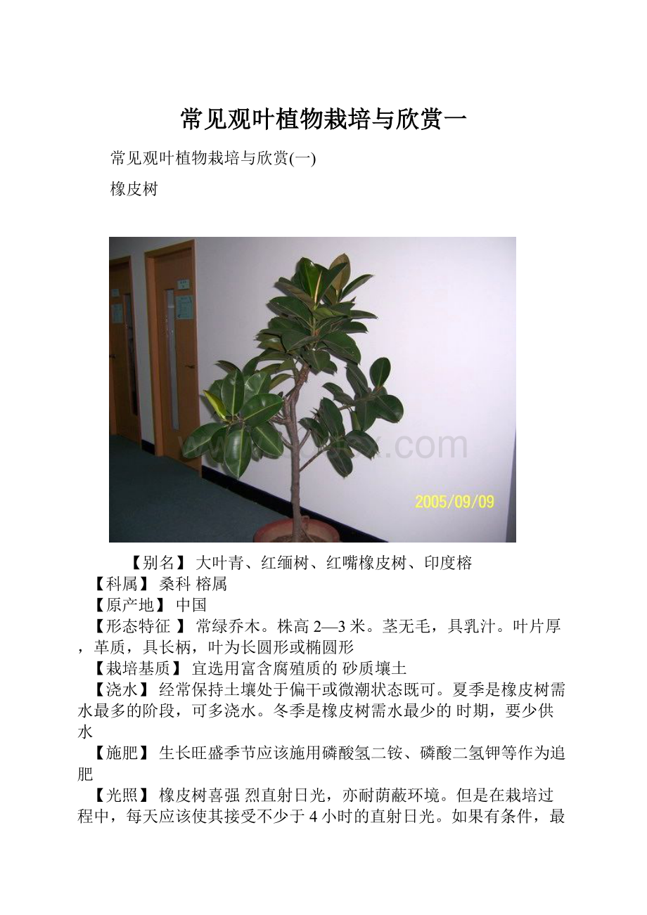 常见观叶植物栽培与欣赏一.docx