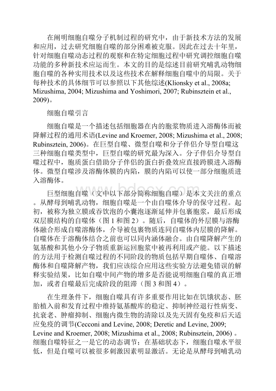 哺乳动物细胞自噬的研究方法资料.docx_第2页