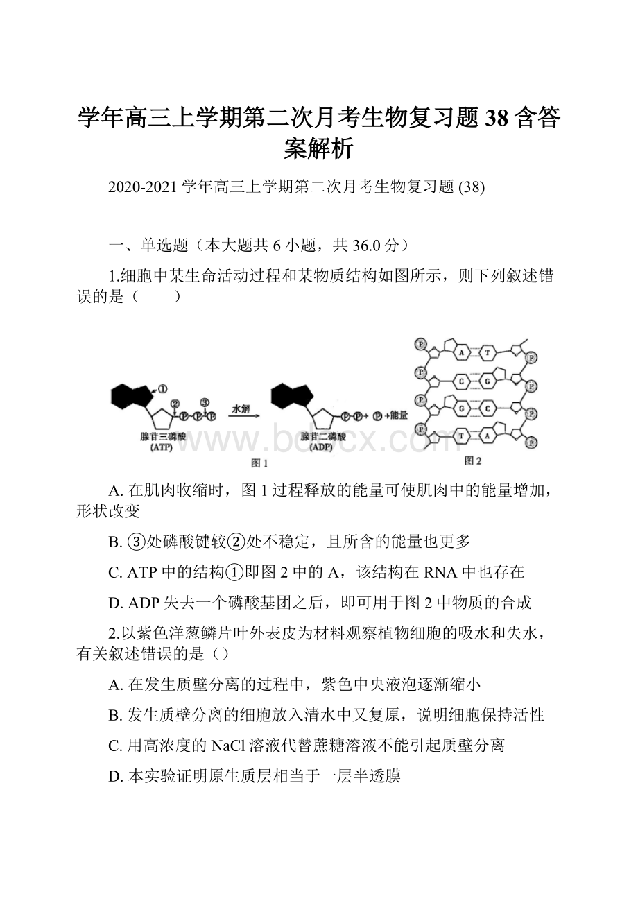 学年高三上学期第二次月考生物复习题 38含答案解析.docx