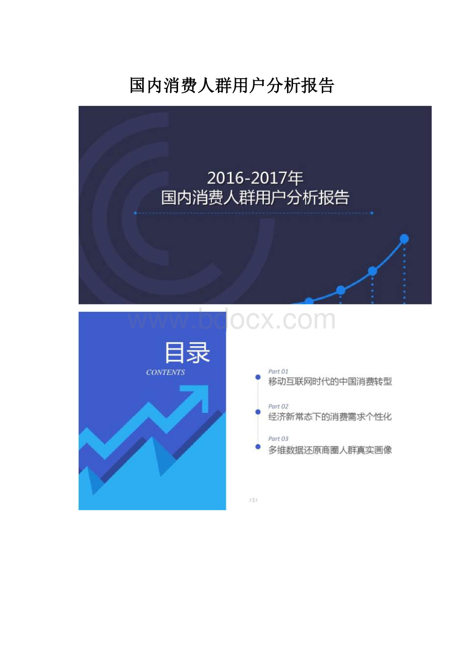 国内消费人群用户分析报告.docx