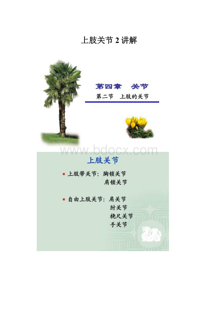 上肢关节2讲解.docx_第1页